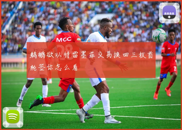 鹈鹕欲以特雷墨菲交易换回三枚首轮签你怎么看